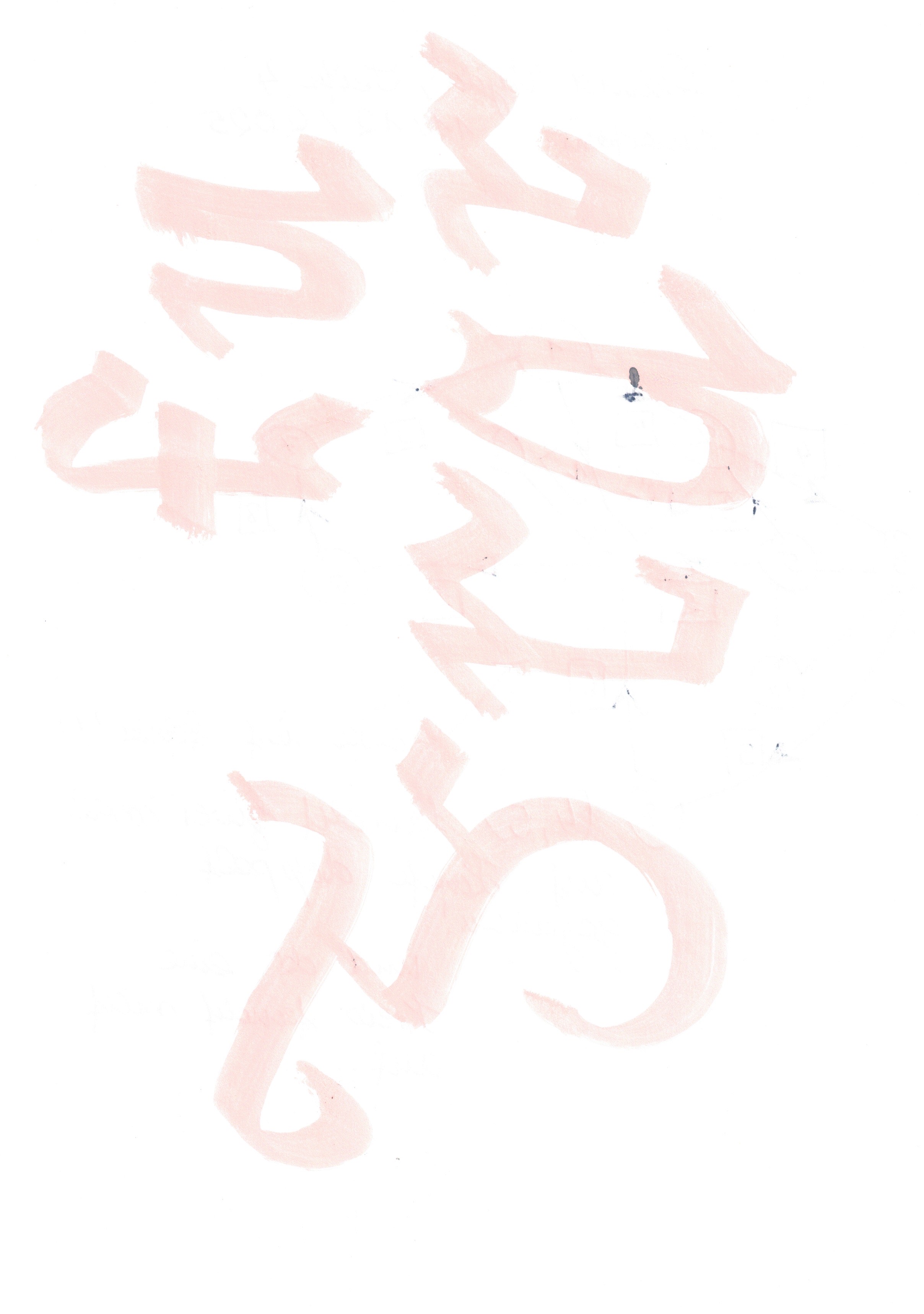 Image 202511120825_31