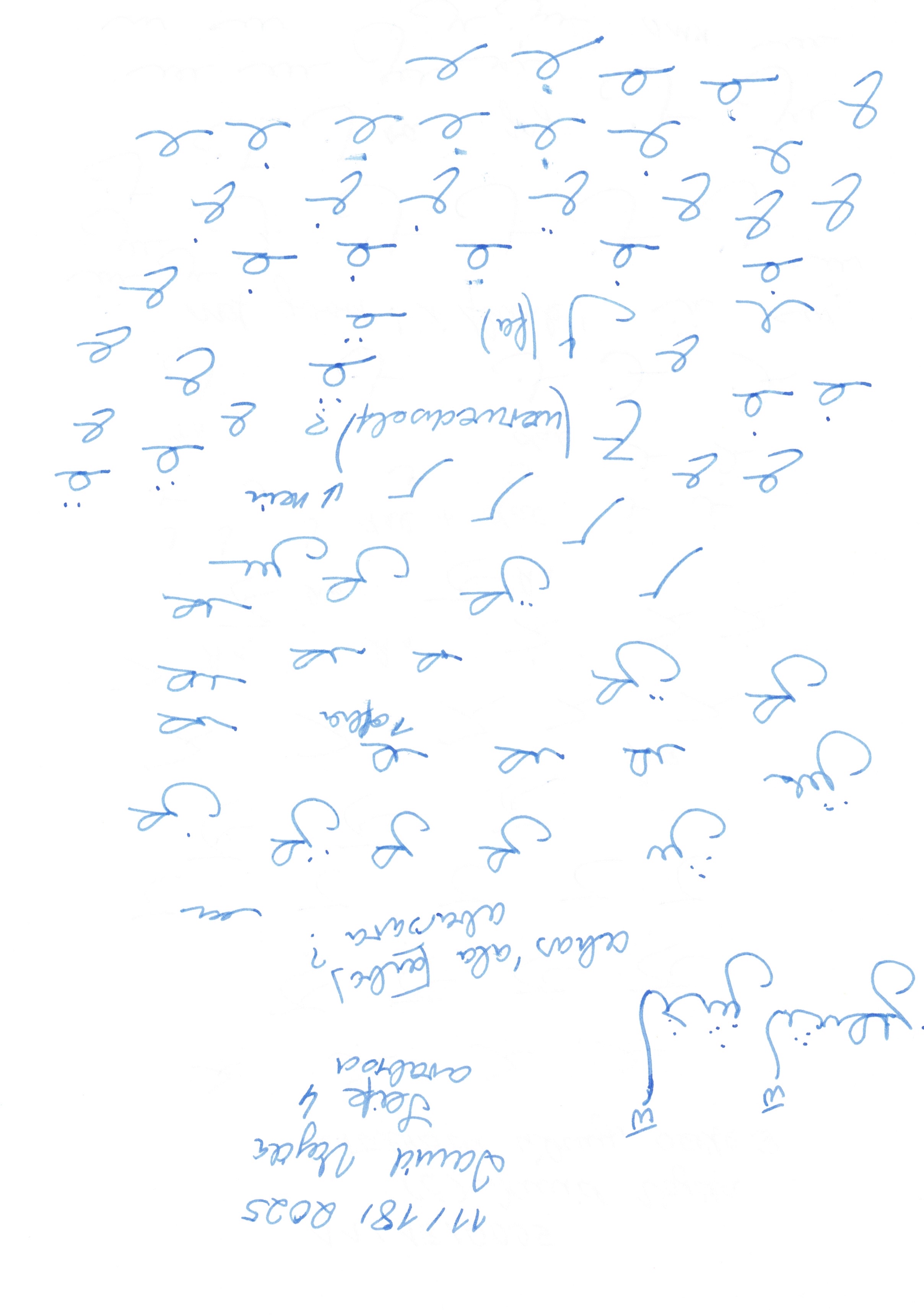 Image 202511301937_135