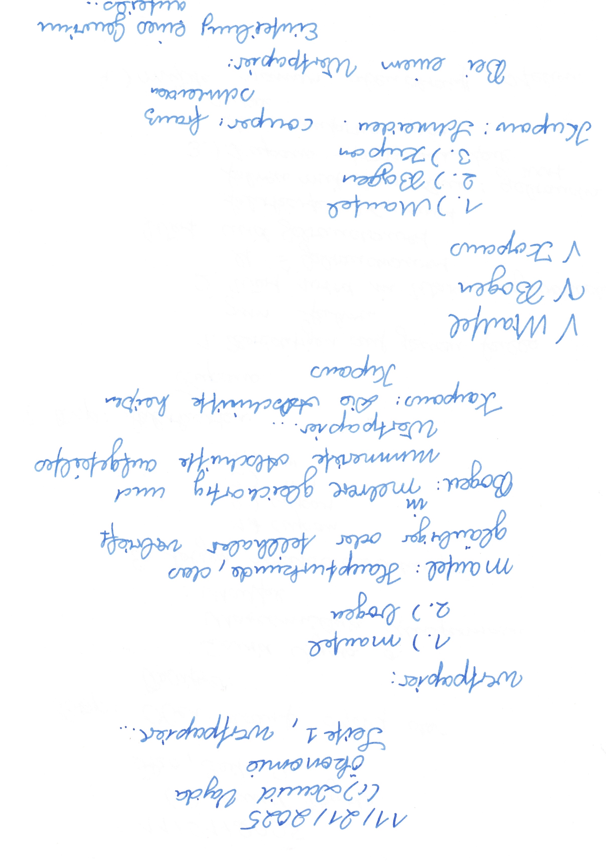 Image 202511301937_148