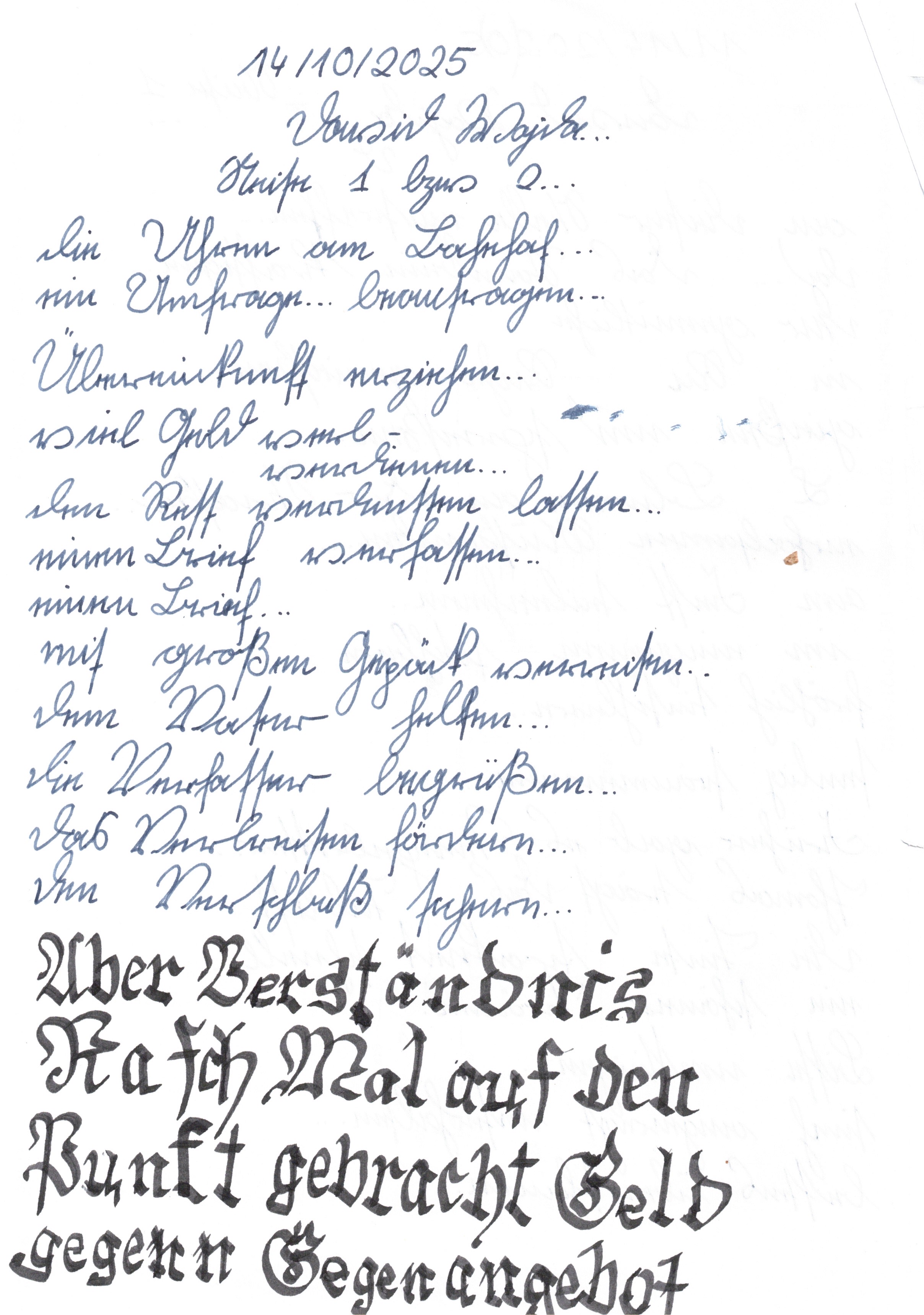 Image 202511301941_1